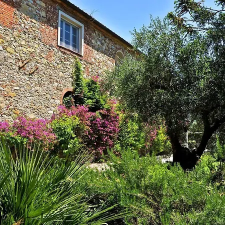 Luna - Cenami - Big Pool With View Appartamento Corsanico-Bargecchia