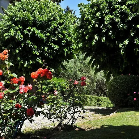 Luna - Cenami - Big Pool With View Appartamento *