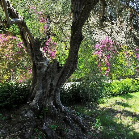 Luna - Cenami - Big Pool With View Corsanico-Bargecchia