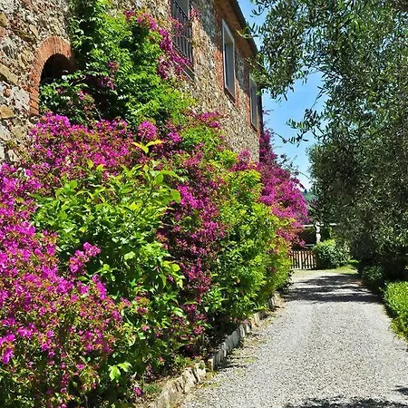 Luna - Cenami - Big Pool With View * Corsanico-Bargecchia