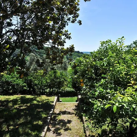 Luna - Cenami - Big Pool With View